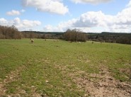 Immobilier Sees