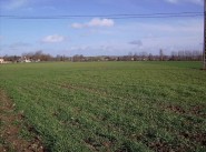 Terrain Falaise